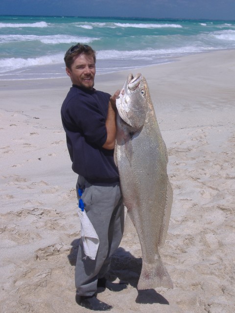 Yalata Mulloway